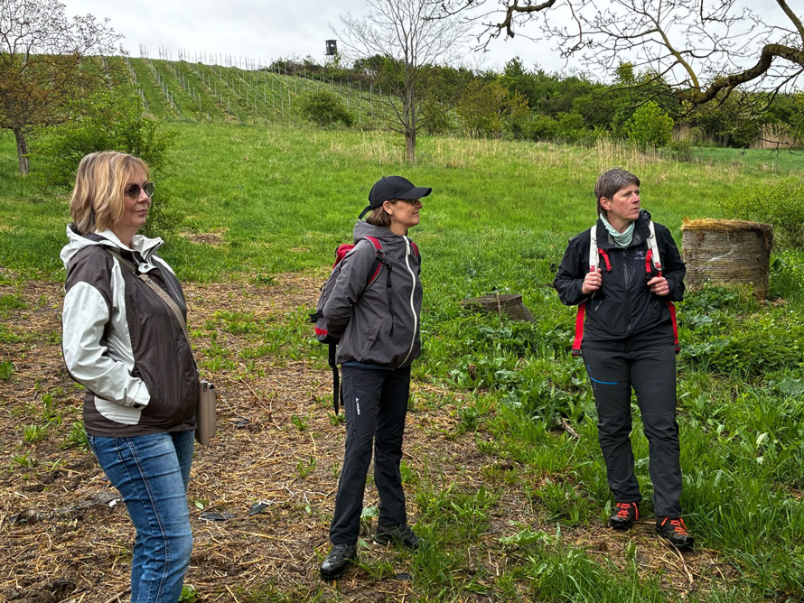 Uta, Britta und Claudia: Teil des Panoramaweg-Teams